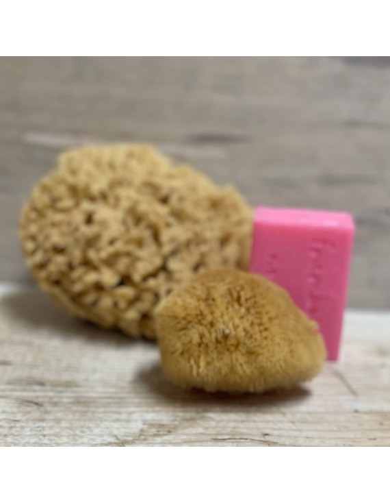 éponge naturelle petit modèle