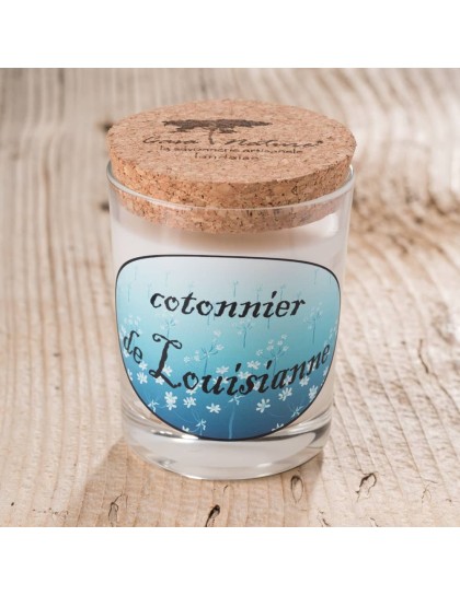 bougie tradition cotonnier de Louisiane