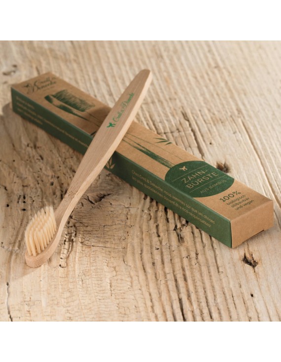 brosse à dents adulte