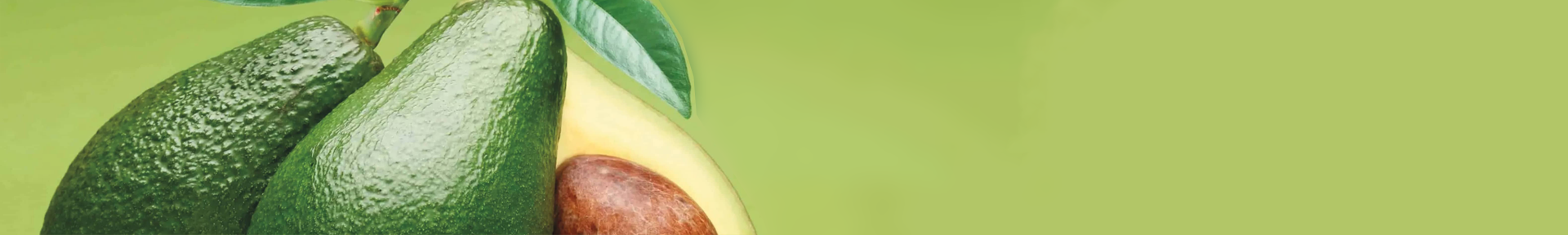 Nos soins pour cheveux